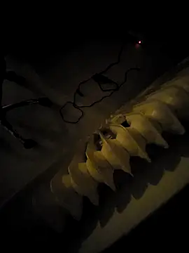 Snapshot of rezzzze chatting on 11.07.25 rezzzze online show from 11.07.25