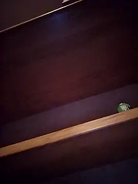 Snapshot of DeeBestEver chatting on 11.04.25 DeeBestEver online show from 11.04.25