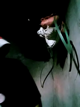 Snapshot of bae-bae chatting on 11.06.25 bae-bae online show from 11.06.25