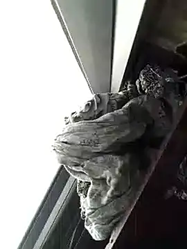 Snapshot of amanWildstalion chatting on 11.08.25 amanWildstalion online show from 11.08.25