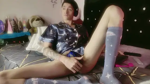Tyler cat online show from 06.17.26