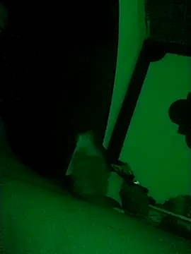 Buddha289 online show from 02.22.26