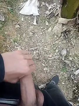 Sikici0734 online show from 01.11.26