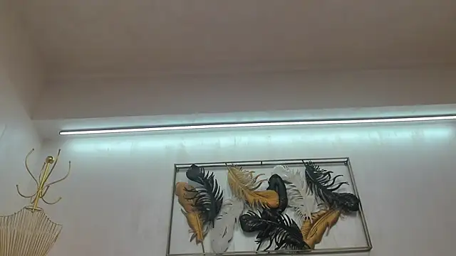 Snapshot of VikaFever chatting on 10.27.25 VikaFever online show from 10.27.25