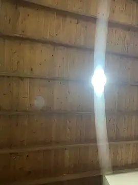 Nhefertary online show from 01.12.26