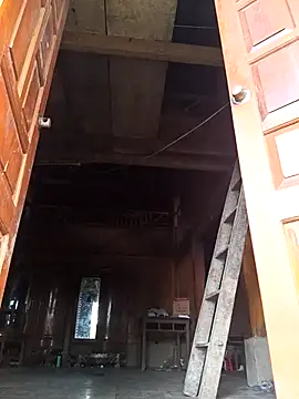 Genie tin online show from 11.13.25