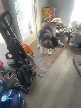 Jcaspen online show from 03.09.26