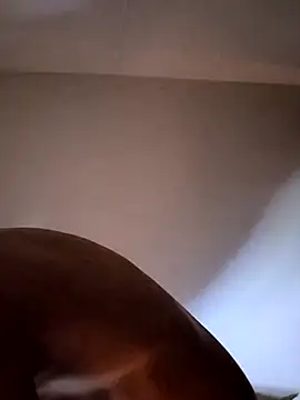 Snapshot of felipelon07 chatting on 11.28.25 felipelon07 online show from 11.28.25