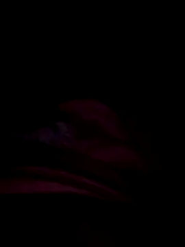 prettygirl3245 online show from 11.06.25