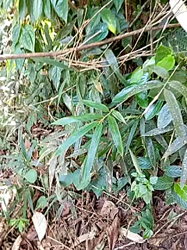 jerry-xx online show from 10.29.25