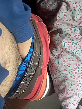 Snapshot of Alfetipies chatting on 10.19.25 Alfetipies online show from 10.19.25