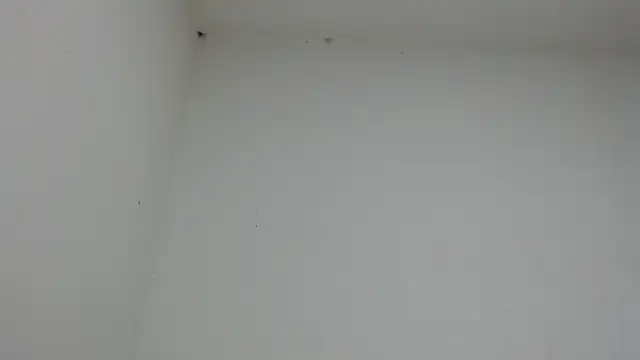 Snapshot of drako_monster chatting on 01.17.26 drako monster online show from 01.17.26