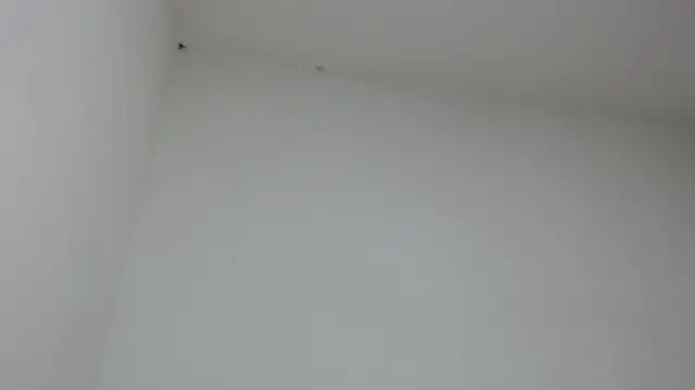 Snapshot of drako_monster chatting on 01.31.26 drako monster online show from 01.31.26