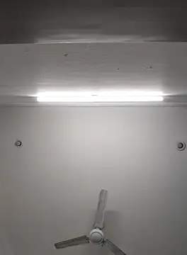 Anchal-8798 online show from 11.08.25