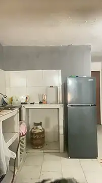 thepicis online show from 11.28.25