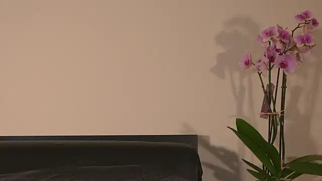 AbrilColls  online show from 03.15.26