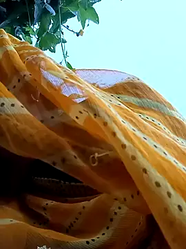 Cutsedi3 online show from 10.18.25