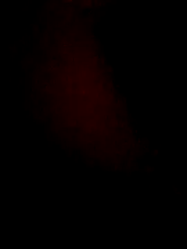 lorina202 online show from 11.18.25