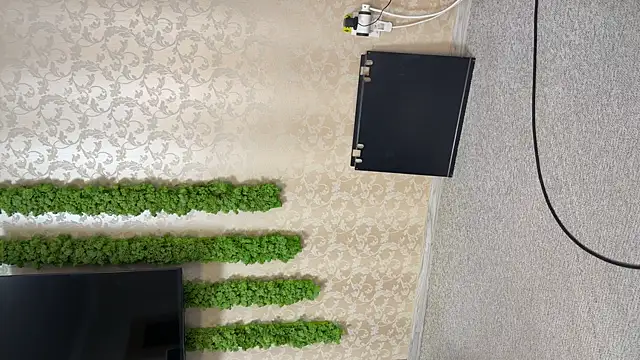 OliviaCart online show from 04.10.26