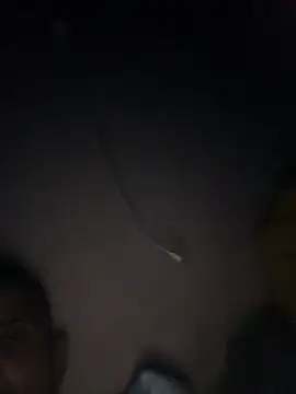 Snapshot of jitsu1988 chatting on 11.14.25 jitsu1988 online show from 11.14.25