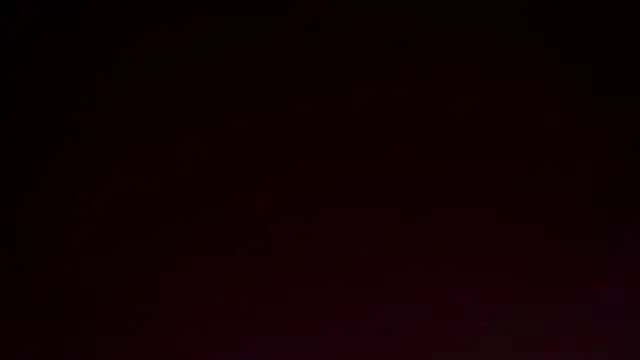 MonetLeitman online show from 04.08.26