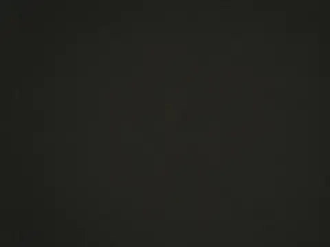 nier 2  online show from 10.10.25