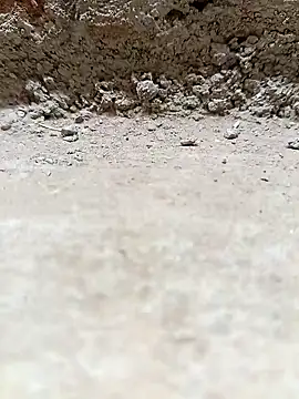 Rajni chauhan online show from 03.25.26