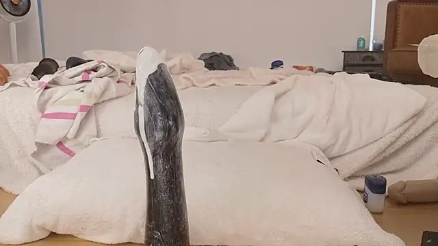gape party online show from 05.12.26