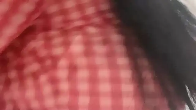 lsevenlll online show from 11.28.25