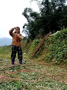 omai-ngot online show from 11.17.25