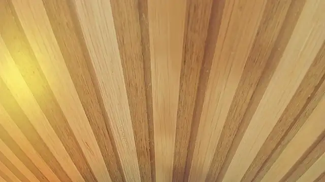 mia  blaze   online show from 01.13.26