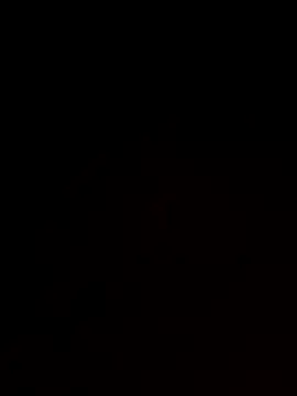 roludao fun online show from 11.17.25