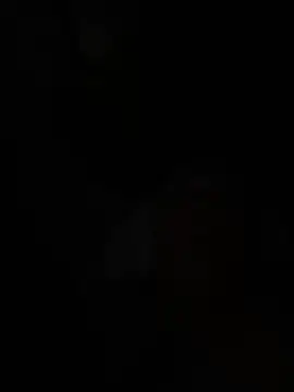 wellingtonmds online show from 02.07.26