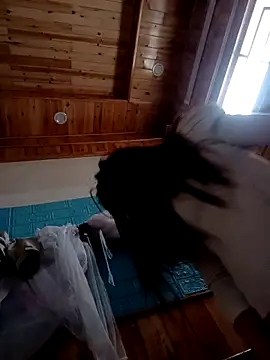 kokoto-59 online show from 02.07.26