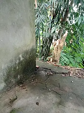 Bear bear0 online show from 11.08.25