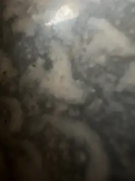 bart98geil online show from 02.16.26