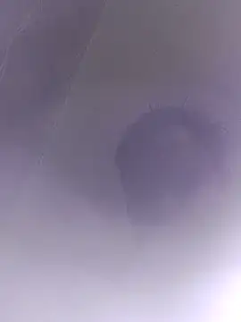 Snapshot of Casalzinhomineiro1 chatting on 05.19.26 Casalzinhomineiro1 online show from 05.19.26
