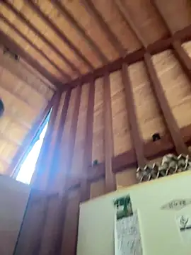 caiiobahia online show from 02.11.26