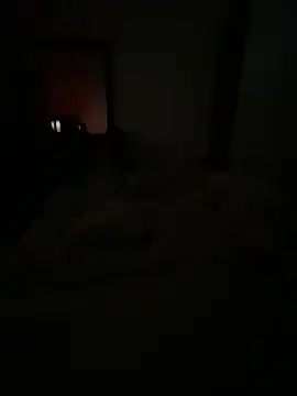 Snapshot of llllllllIIIll chatting on 02.17.26 llllllllIIIll online show from 02.17.26