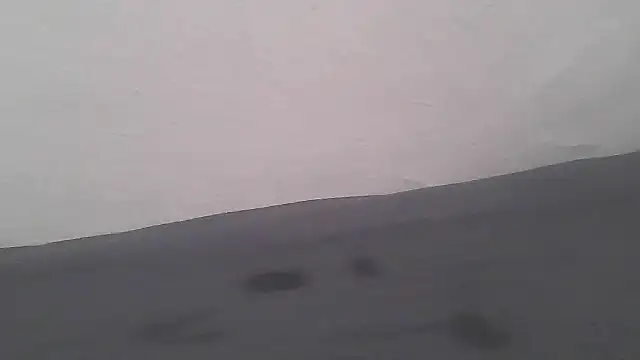 Snapshot of Femaleking29 chatting on 11.08.25 Femaleking29 online show from 11.08.25