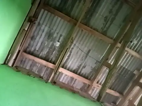 juniordotado87 online show from 01.10.26