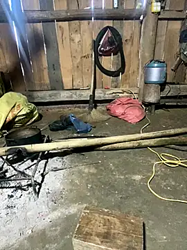 nachi-baby online show from 12.14.25