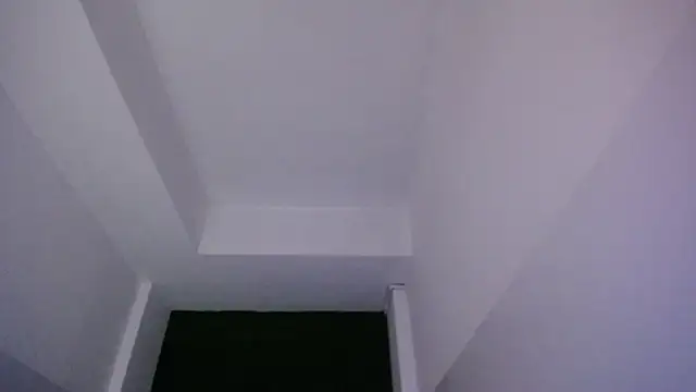 velvetvixen t online show from 12.20.25