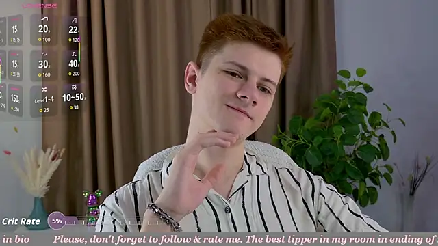 Allert  online show from 04.06.26