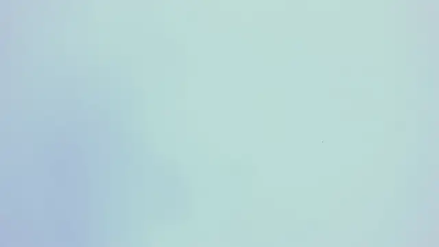 PariisTaylor online show from 10.29.25