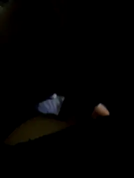 Nnicole1223 online show from 11.02.25