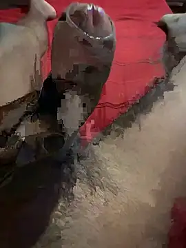 vijay20k online show from 03.03.26