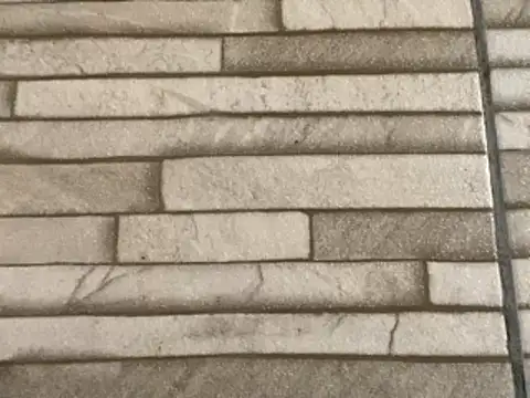  DignoDePutaria  online show from 01.16.26