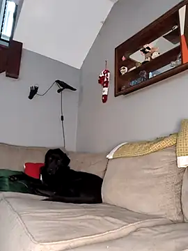 mattiethebaddieee online show from 11.30.25