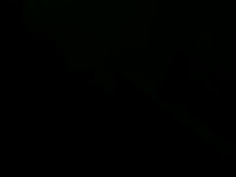 giovanift111 online show from 10.29.25